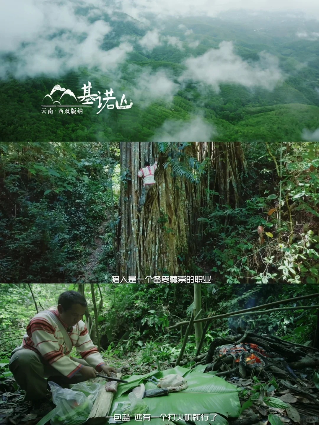 纪录片《雨林之子》云的彼端，国之南境。_2_闪闪发光赵美好_西双版纳-森林-来自52tours 我爱旅游网